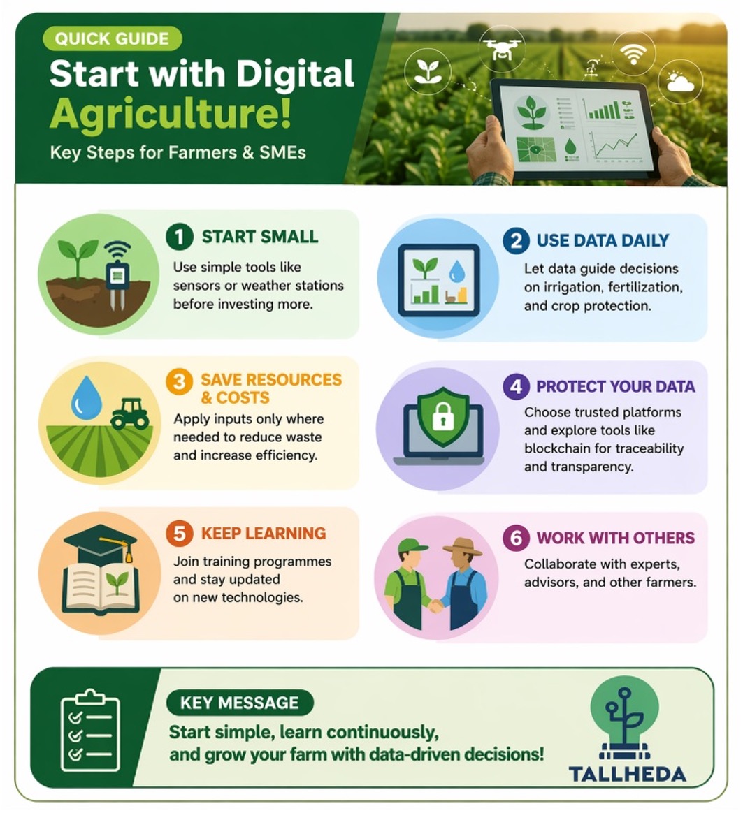 Figure 1 A practical roadmap towards digital transformation of agrifood SMEs.jpg